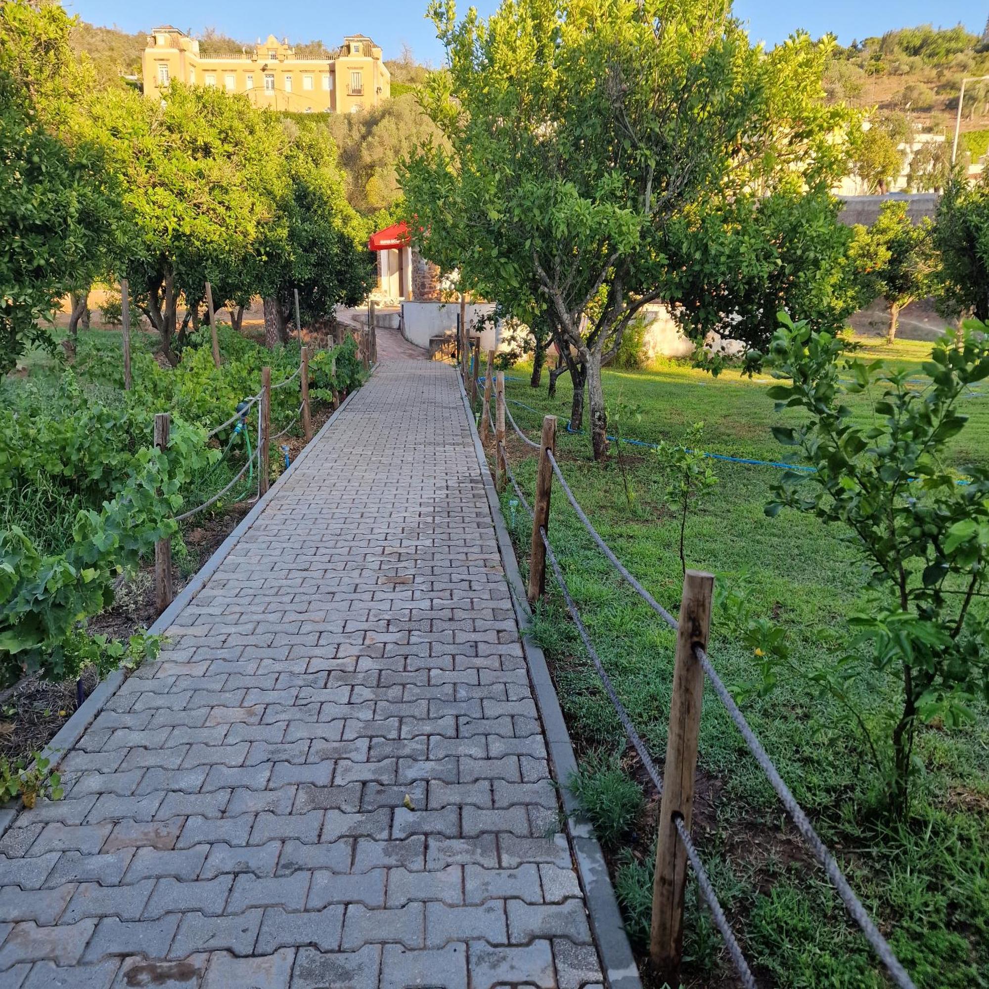 סילבס Ponte Romana מראה חיצוני תמונה
